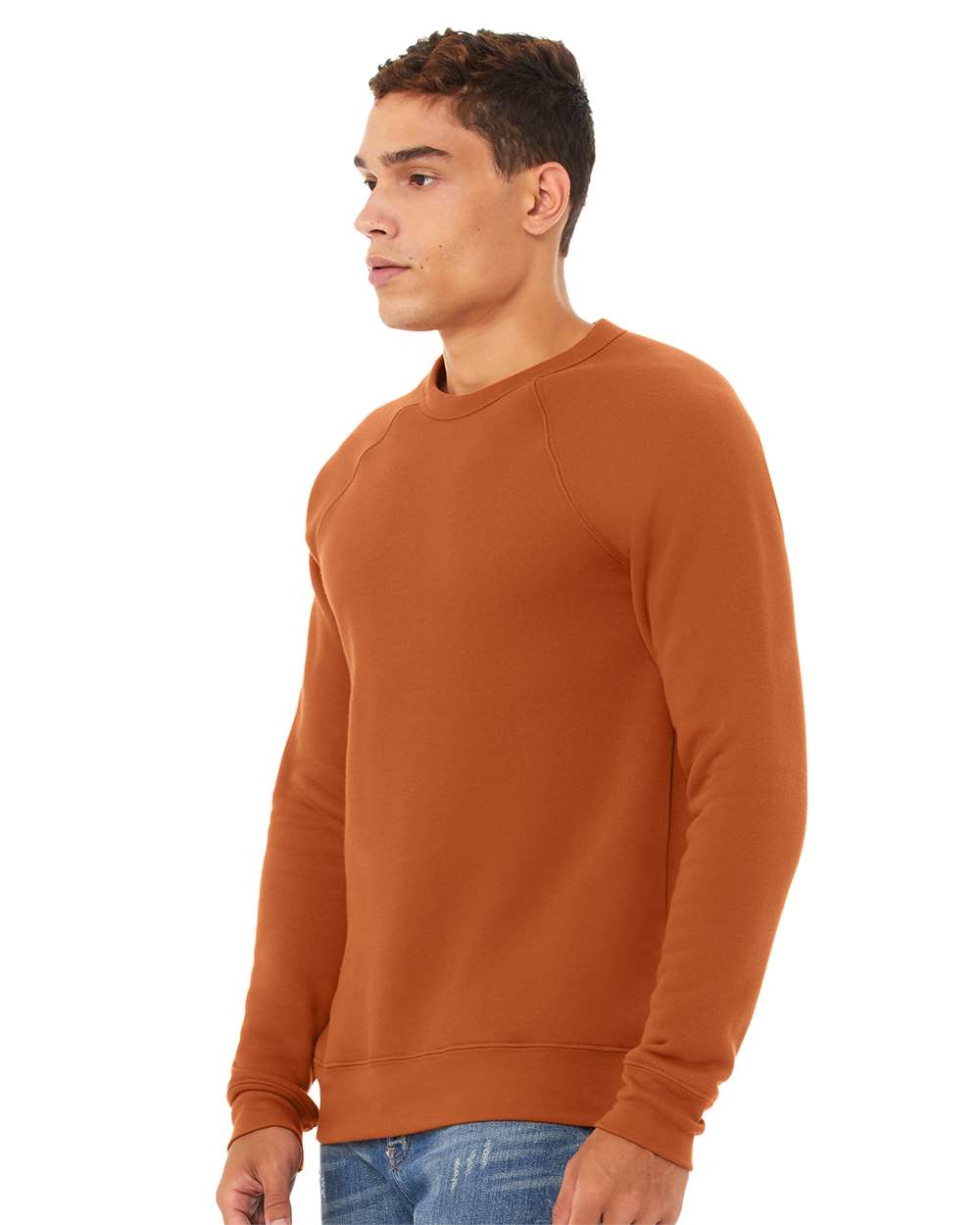 Unisex Sponge Fleece Raglan Crewneck Sweatshirt